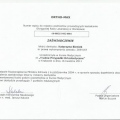 Powiększ obraz: certificate 19
