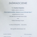 Powiększ obraz: certificate 2