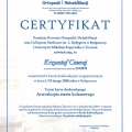 Powiększ obraz: certificate 11