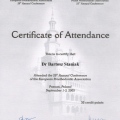 Powiększ obraz: certificate 19