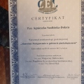 Powiększ obraz: certificate 3