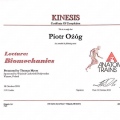 Powiększ obraz: certificate 20