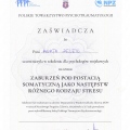 Powiększ obraz: certificate 13
