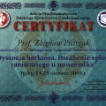 Powiększ obraz: certificate 9