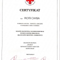 Powiększ obraz: certificate 9
