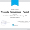 Powiększ obraz: certificate 16