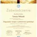 Powiększ obraz: certificate 6