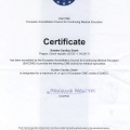 Powiększ obraz: certificate 1