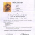 Powiększ obraz: certificate 26