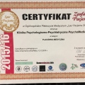 Powiększ obraz: certificate 2