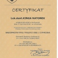 Powiększ obraz: certificate 11
