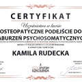 Powiększ obraz: certificate 28