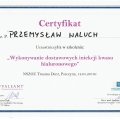 Powiększ obraz: certificate 7