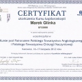 Powiększ obraz: certificate 1