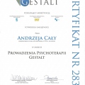 Powiększ obraz: certificate 2