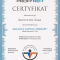Powiększ obraz: certificate 10