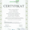 Powiększ obraz: certificate 2