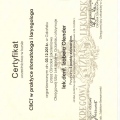 Powiększ obraz: certificate 4