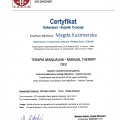 Powiększ obraz: certificate 2