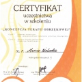 Powiększ obraz: certificate 21