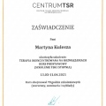Powiększ obraz: certificate 6
