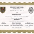 Powiększ obraz: certificate 43