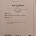 Powiększ obraz: certificate 26