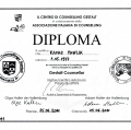 Powiększ obraz: certificate 5