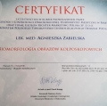 Powiększ obraz: certificate 4