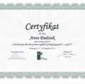 Powiększ obraz: certificate 1