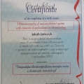 Powiększ obraz: certificate 1