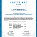 Powiększ obraz: certificate 2