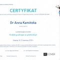 Powiększ obraz: certificate 10