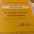 Powiększ obraz: certificate 4