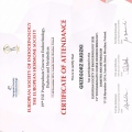 Powiększ obraz: certificate 2