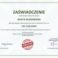 Powiększ obraz: certificate 22