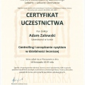 Powiększ obraz: certificate 13