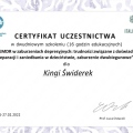 Powiększ obraz: certificate 23