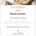 Powiększ obraz: certificate 21