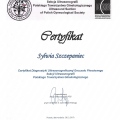 Powiększ obraz: certificate 2