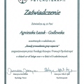 Powiększ obraz: certificate 7
