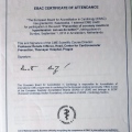 Powiększ obraz: certificate 6