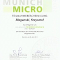 Powiększ obraz: certificate 7