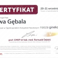 Powiększ obraz: certificate 7