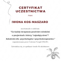 Powiększ obraz: certificate 3