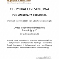 Powiększ obraz: certificate 11
