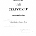Powiększ obraz: certificate 6