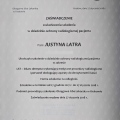 Powiększ obraz: certificate 11