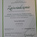 Powiększ obraz: certificate 9