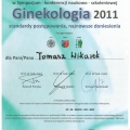 Powiększ obraz: certificate 9